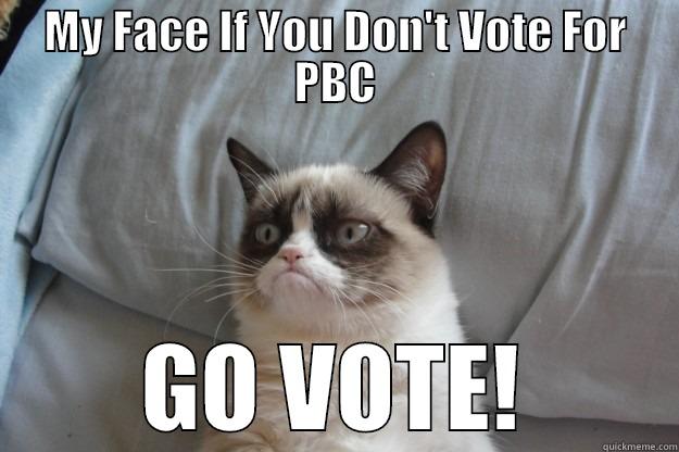 MY FACE IF YOU DON'T VOTE FOR PBC GO VOTE! Grumpy Cat