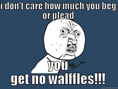 I DON'T CARE HOW MUCH YOU BEG OR PLEAD YOU GET NO WALFFLES!!! Y U No