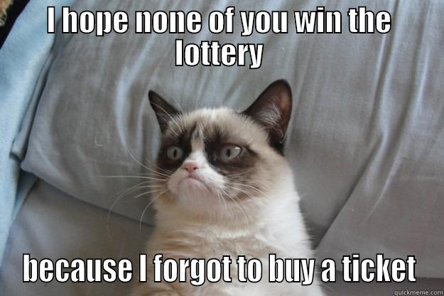 I HOPE NONE OF YOU WIN THE LOTTERY BECAUSE I FORGOT TO BUY A TICKET Grumpy Cat