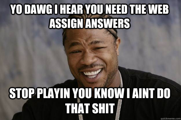 YO DAWG I HEAR YOU need the web assign answers stop playin you know i aint do that shit  Xzibit meme