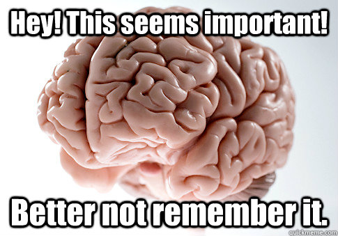 Hey! This seems important! Better not remember it.  - Hey! This seems important! Better not remember it.   Scumbag Brain
