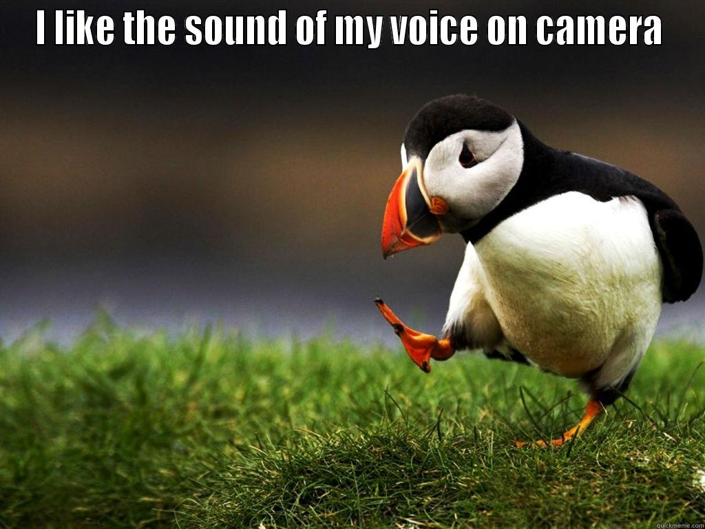 I LIKE THE SOUND OF MY VOICE ON CAMERA  Misc