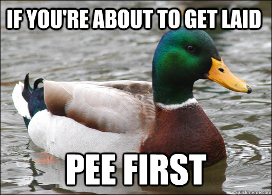 if you're about to get laid  pee first  Actual Advice Mallard