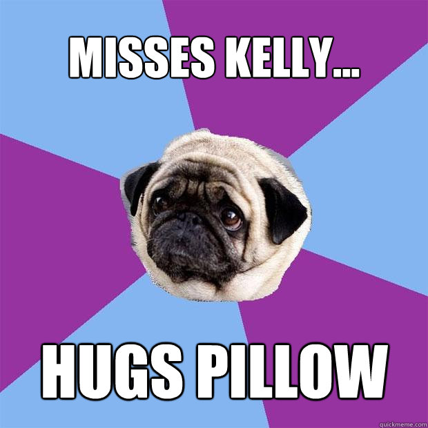 Misses Kelly... Hugs Pillow  Lonely Pug