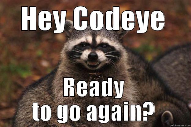 HEY CODEYE READY TO GO AGAIN? Evil Plotting Raccoon