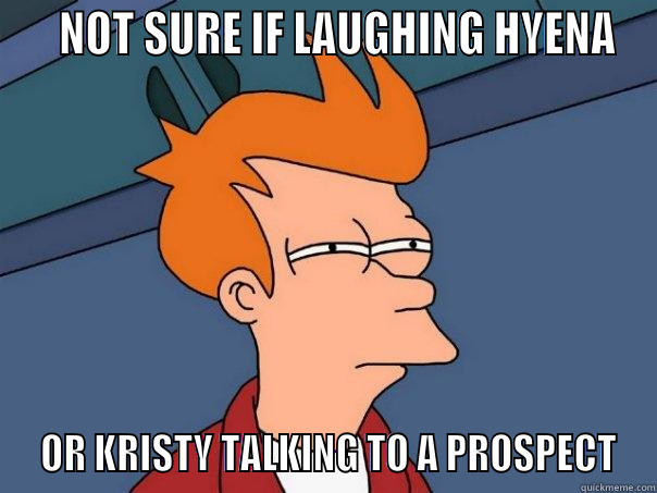    NOT SURE IF LAUGHING HYENA  OR KRISTY TALKING TO A PROSPECT Futurama Fry