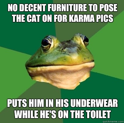 No decent furniture to pose the cat on for Karma pics Puts him in his underwear while he's on the toilet - No decent furniture to pose the cat on for Karma pics Puts him in his underwear while he's on the toilet  Foul Bachelor Frog