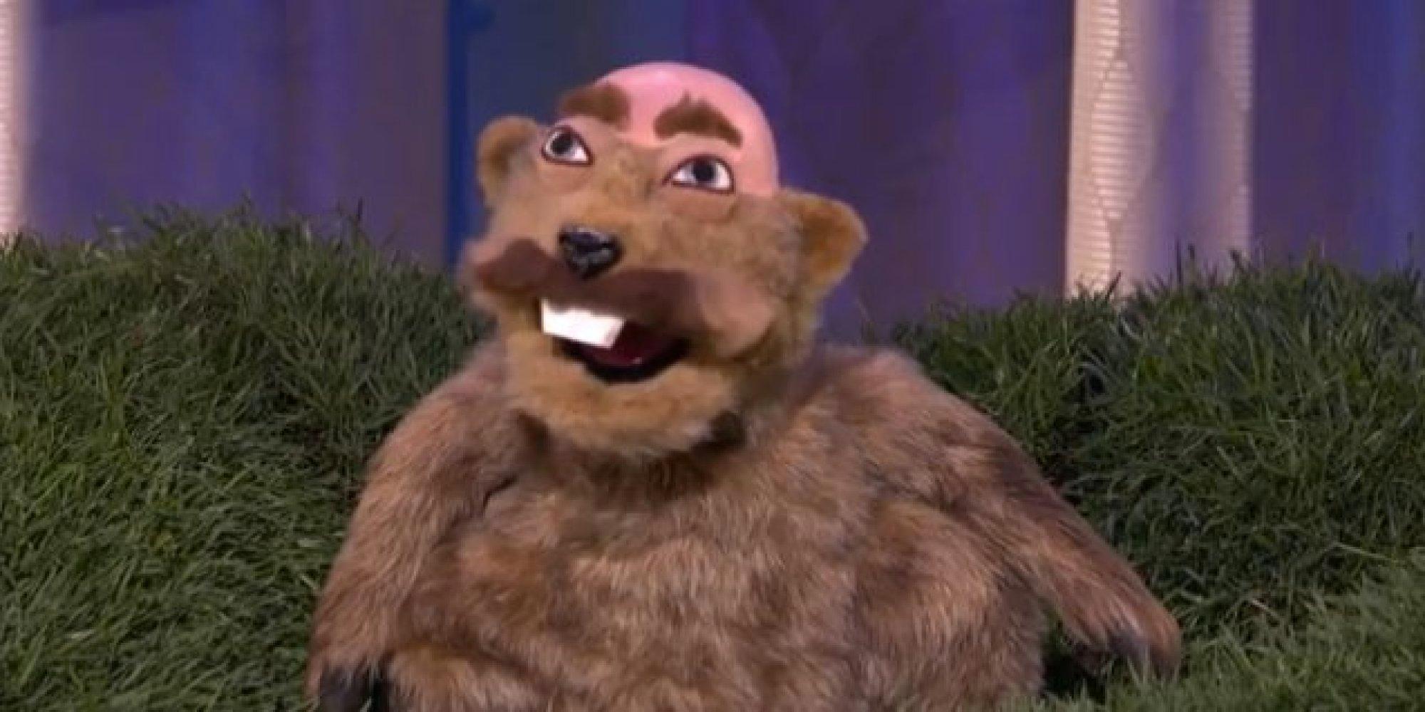 punxsutawney dr. phil -   Misc