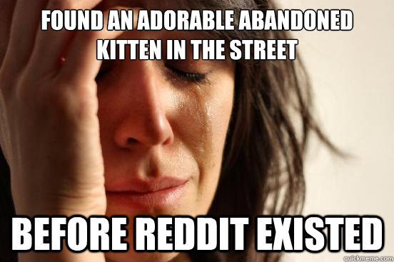 found an adorable abandoned kitten in the street before reddit existed  First World Problems