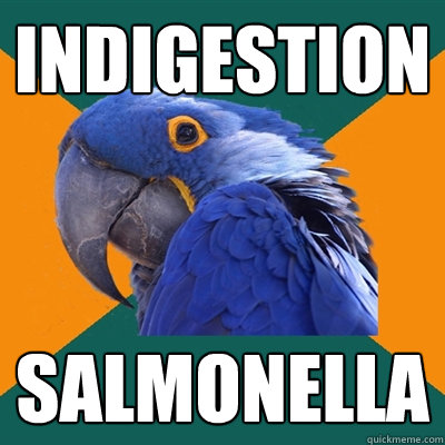 Indigestion salmonella  Paranoid Parrot