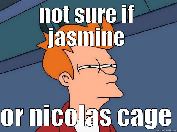 NOT SURE IF JASMINE  OR NICOLAS CAGE Futurama Fry