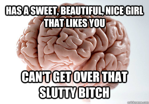 Has a sweet, beautiful, nice girl that likes you Can't get over that slutty bitch  Get the [AdviceAnimals Chrome extension!](http://www.livememe.com/extension)  Scumbag Brain