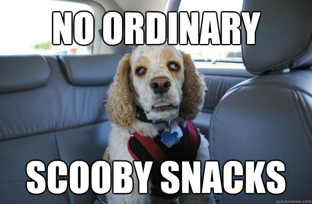 no ordinary  scooby snacks  10 Dog