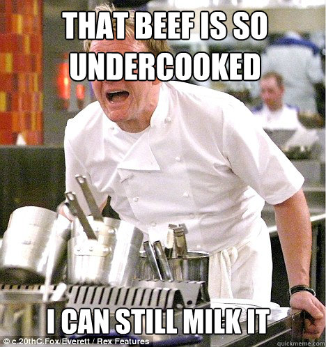 That beef is so undercooked I can still milk it - That beef is so undercooked I can still milk it  gordon ramsay