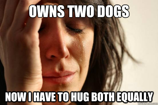 Owns two dogs Now I have to hug both equally  First World Problems