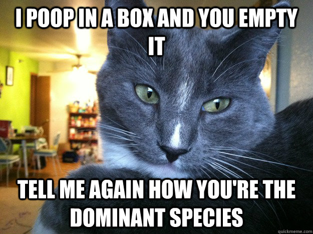 i poop in a box and you empty it tell me again how you're the dominant species  