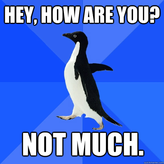 Hey, how are you? Not much.  Socially Awkward Penguin