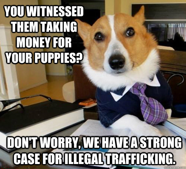 You witnessed them taking money for your puppies? Don't worry, we have a strong case for illegal trafficking.  Lawyer Dog