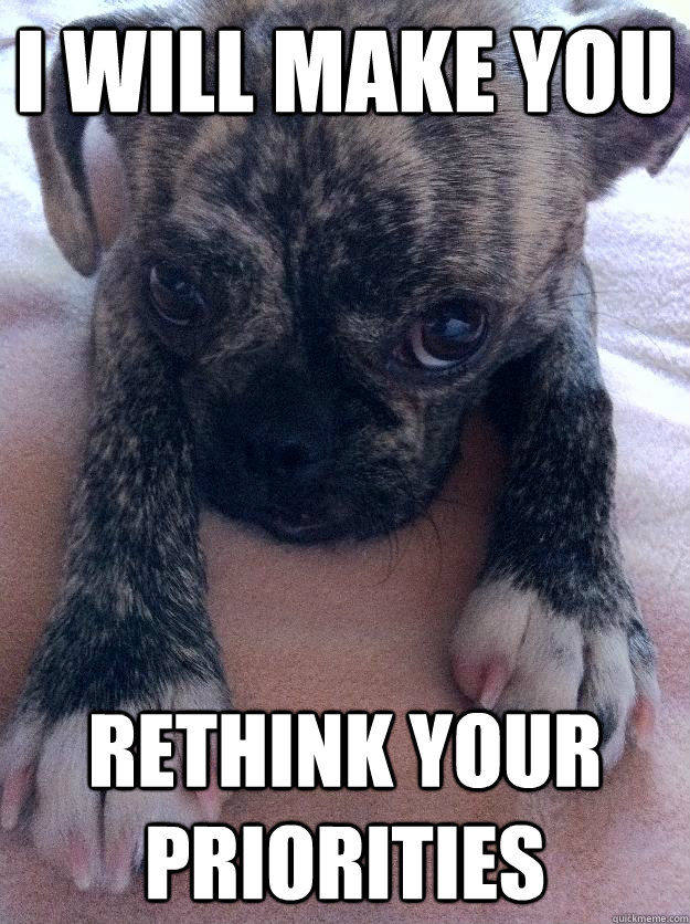 I will make you Rethink your priorities - I will make you Rethink your priorities  Adorable Puppy