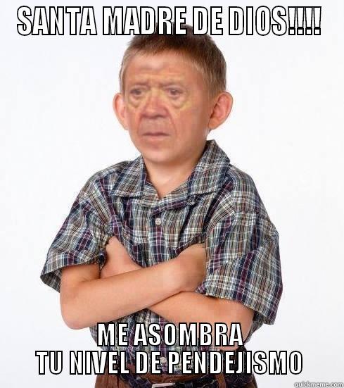 SANTA MADRE DE DIOS!!!! ME ASOMBRA TU NIVEL DE PENDEJISMO Misc