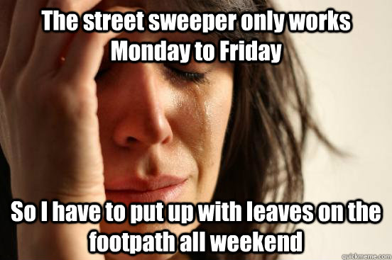 The street sweeper only works Monday to Friday So I have to put up with leaves on the footpath all weekend  First World Problems