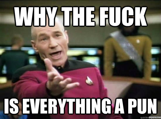 Why the fuck is everything a pun  Annoyed Picard HD