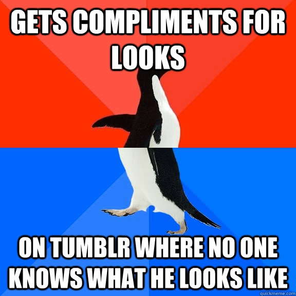 Gets compliments for looks On tumblr where no one knows what he looks like  Socially Awesome Awkward Penguin