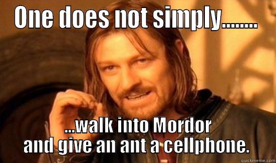 ONE DOES NOT SIMPLY........  ...WALK INTO MORDOR AND GIVE AN ANT A CELLPHONE. Boromir