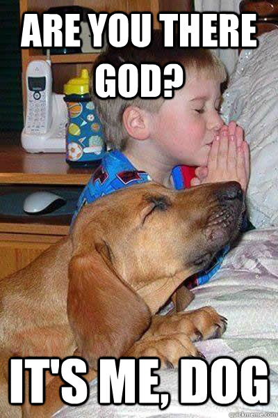 Are you there god? It's me, dog - Are you there god? It's me, dog  Gods Best Friend