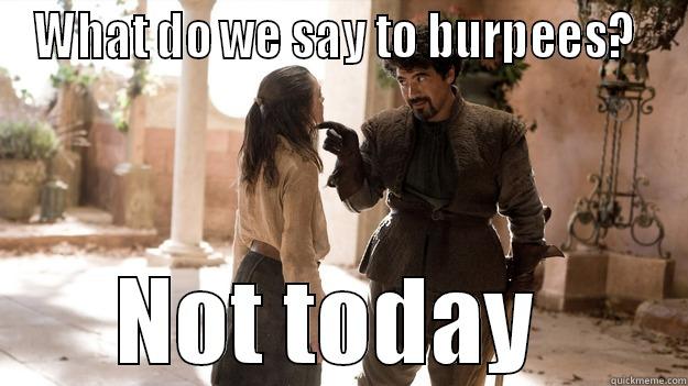 no more drills - WHAT DO WE SAY TO BURPEES?  NOT TODAY  Arya not today