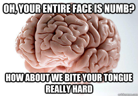 Oh, your entire face is numb? How about we bite your tongue really hard - Oh, your entire face is numb? How about we bite your tongue really hard  Scumbag Brain