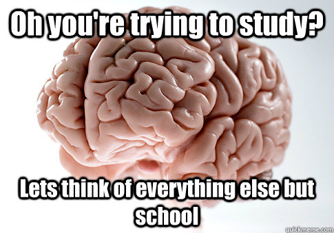 Oh you're trying to study? Lets think of everything else but school - Oh you're trying to study? Lets think of everything else but school  Scumbag Brain