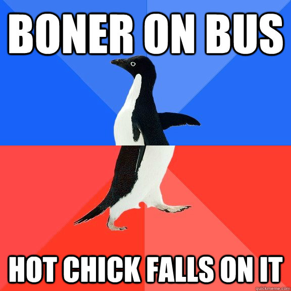 boner on bus hot chick falls on it  Socially Awkward Awesome Penguin