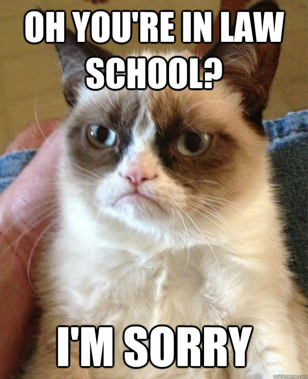 Oh you're in law school? i'm sorry  Angry Cat