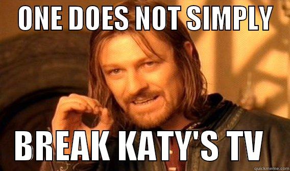    ONE DOES NOT SIMPLY       BREAK KATY'S TV    One Does Not Simply