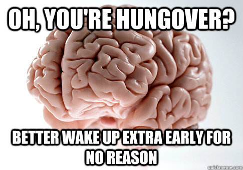 Oh, you're hungover? Better wake up extra early for no reason  Scumbag Brain