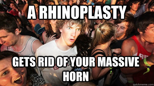 A rhinoplasty Gets rid of your massive horn  Sudden Clarity Clarence