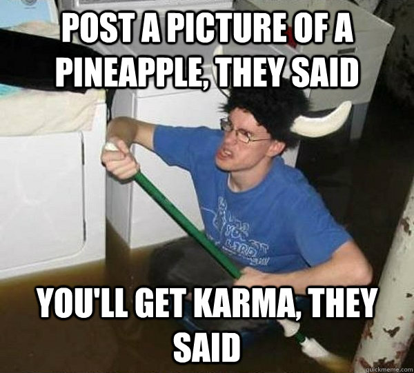 Post a picture of a pineapple, they said You'll get karma, they said  They said