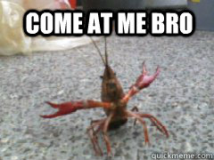 COME AT ME BRO  Hardass Crawfish