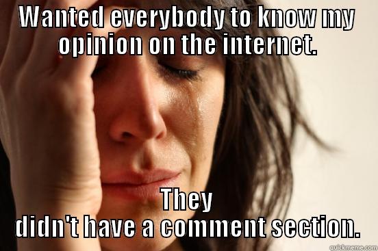 WANTED EVERYBODY TO KNOW MY OPINION ON THE INTERNET. THEY DIDN'T HAVE A COMMENT SECTION. First World Problems