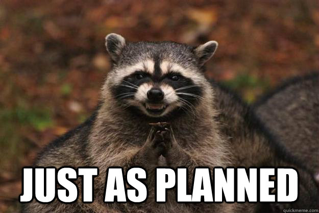  Just as planned  Evil Plotting Raccoon