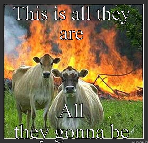 THIS IS ALL THEY ARE ALL THEY GONNA BE Evil cows