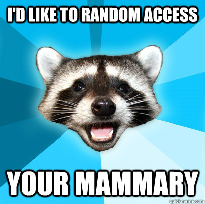 I'D LIKE TO RANDOM ACCESS YOUR MAMMARY  Lame Pun Coon