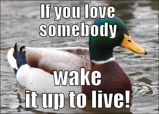IF YOU LOVE SOMEBODY WAKE IT UP TO LIVE! Actual Advice Mallard