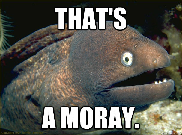 THAT's A MORAY.  Bad Joke Eel