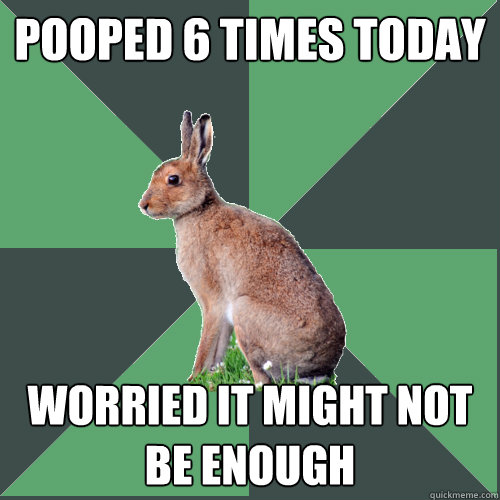 Pooped 6 times today worried it might not be enough - Pooped 6 times today worried it might not be enough  Harrier Hare