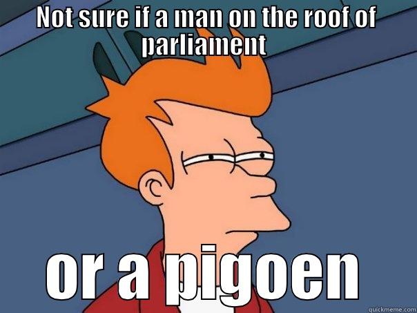 NOT SURE IF A MAN ON THE ROOF OF PARLIAMENT  OR A PIGOEN Futurama Fry