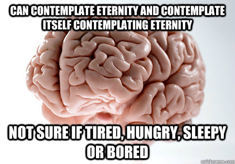 can contemplate eternity and contemplate itself contemplating eternity not sure if tired, hungry, sleepy or bored   Scumbag Brain
