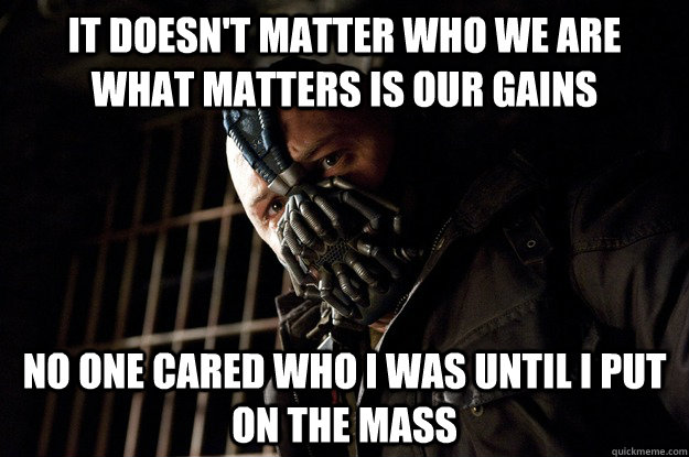 It doesn't matter who we are what matters is our gains No one cared who i was until i put on the mass  Angry Bane