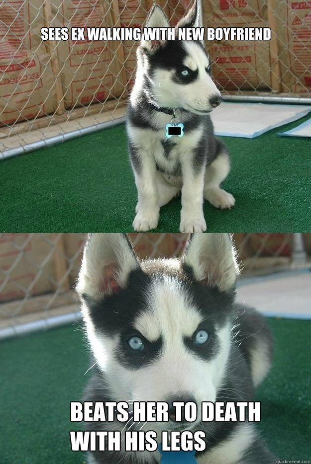 Sees ex walking with new boyfriend beats her to death with his legs  Insanity puppy